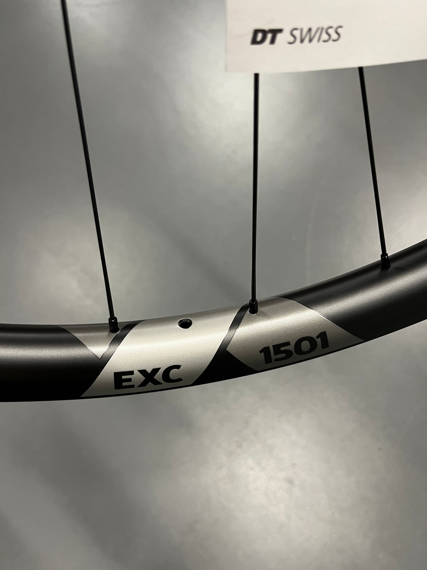 DT Swiss EXC 1501 Spline 29"