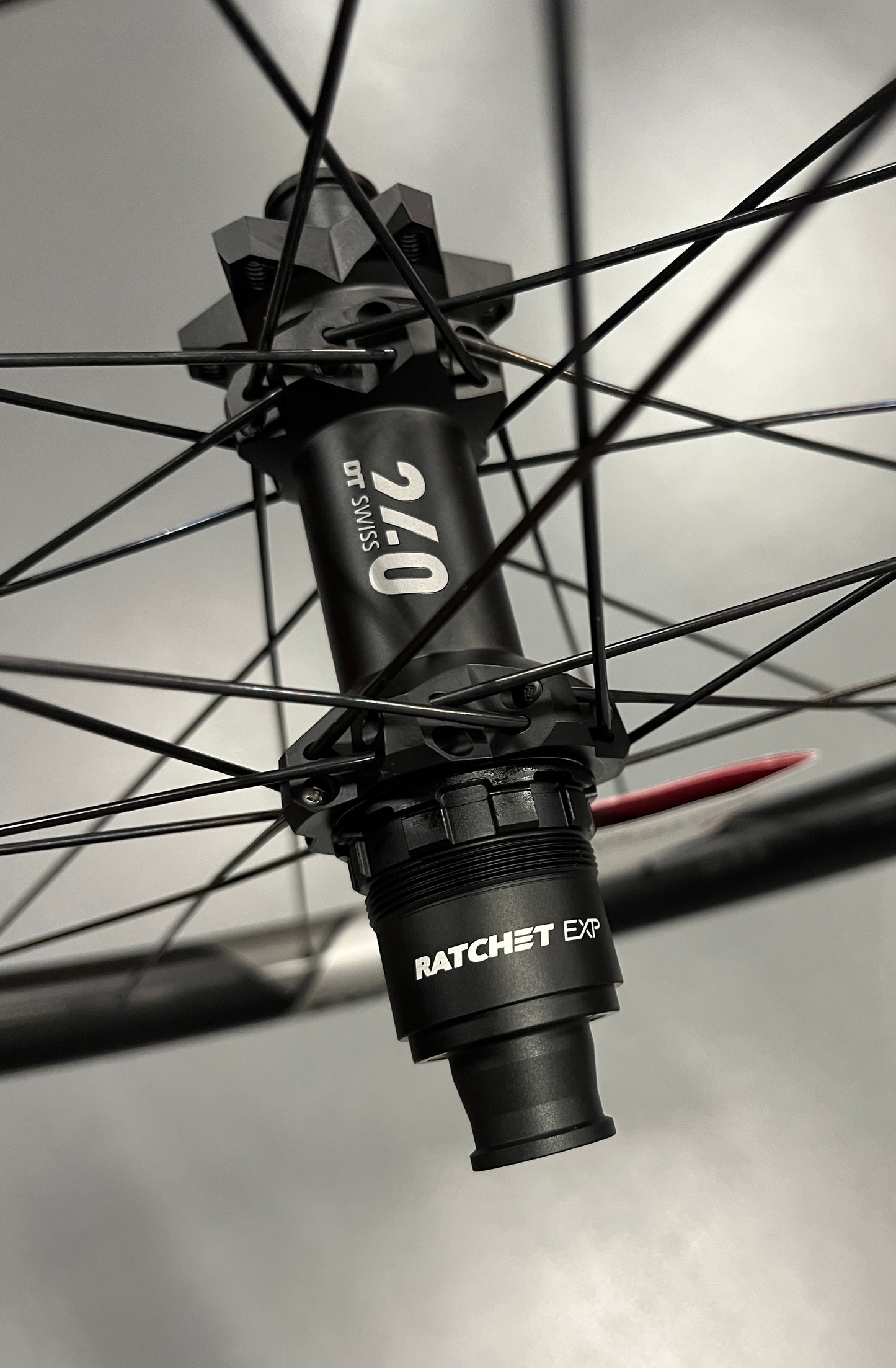 DT Swiss EXC 1501 Spline 29"